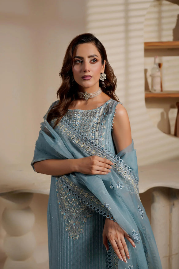 3 Piece Stitched Organza Suit - Ready to wear