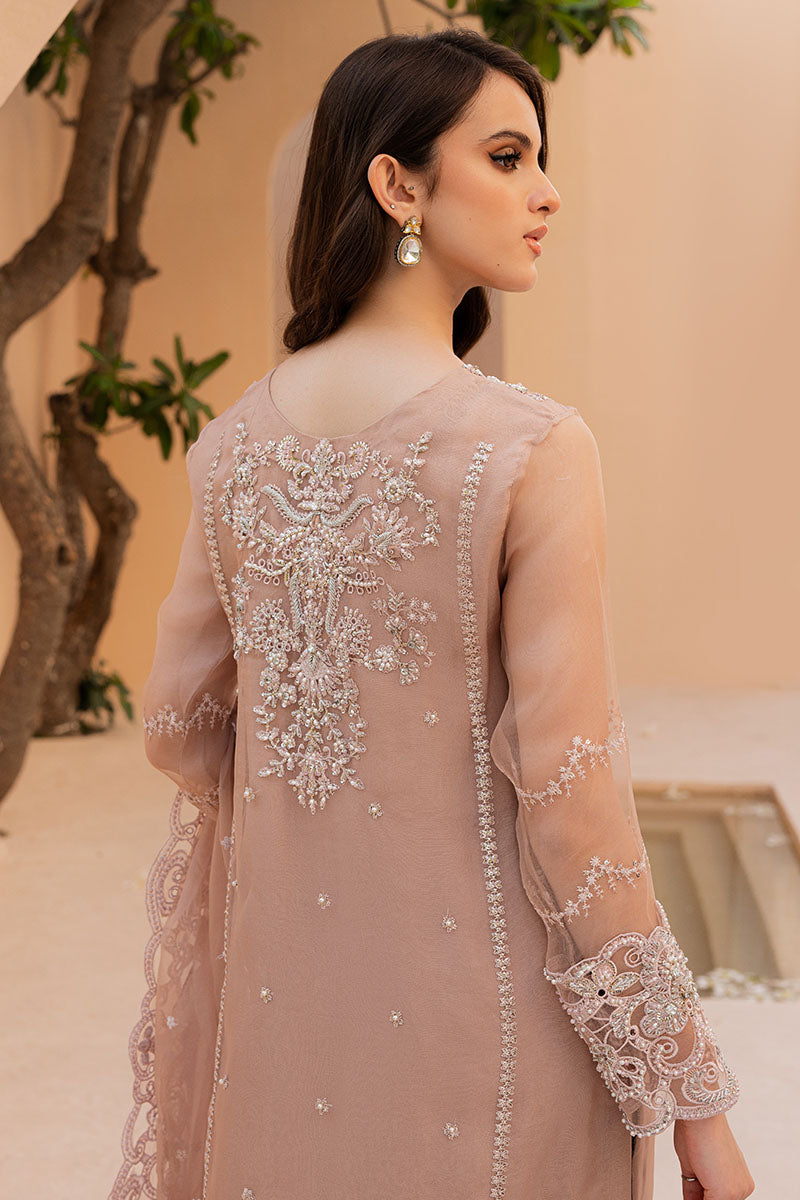 3 Piece Stitched Organza & Raw Silk Suit