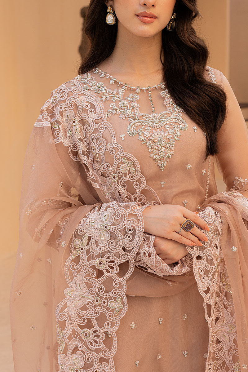 3 Piece Stitched Organza & Raw Silk Suit